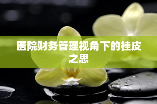 医院财务管理视角下的桂皮之思