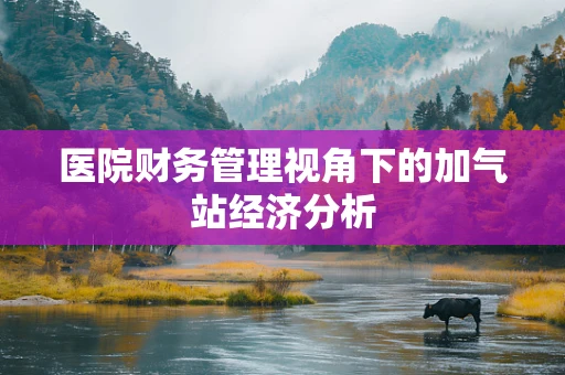 医院财务管理视角下的加气站经济分析