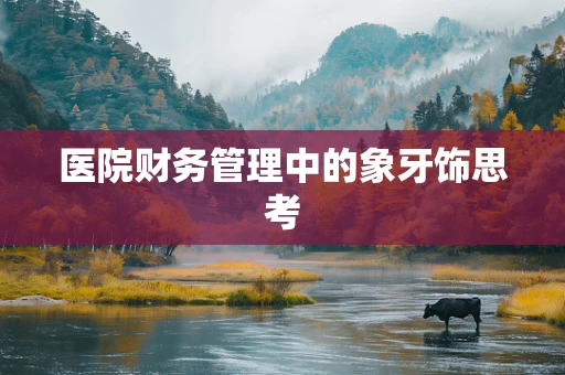 医院财务管理中的象牙饰思考