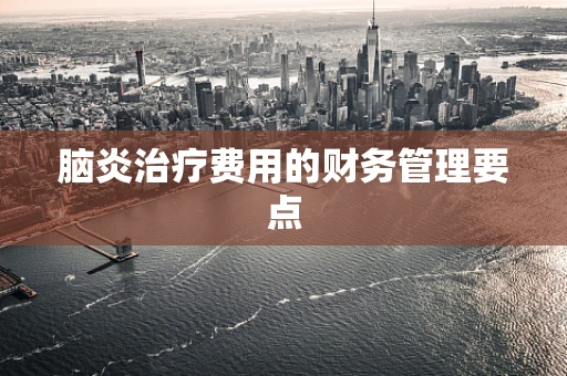 脑炎治疗费用的财务管理要点