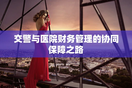 交警与医院财务管理的协同保障之路