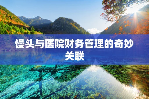 馒头与医院财务管理的奇妙关联