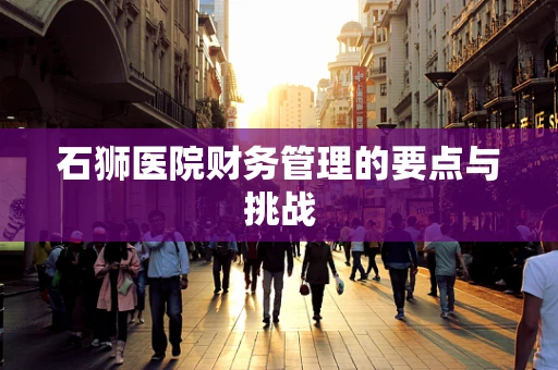 石狮医院财务管理的要点与挑战