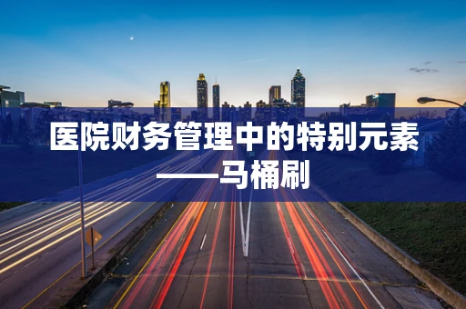 医院财务管理中的特别元素——马桶刷