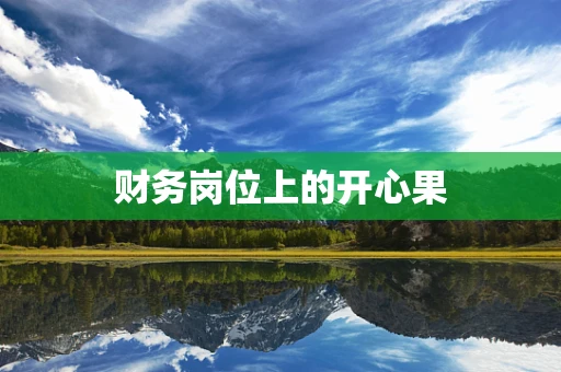 财务岗位上的开心果