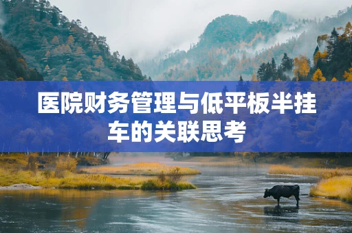 医院财务管理与低平板半挂车的关联思考