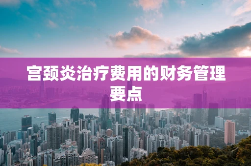宫颈炎治疗费用的财务管理要点