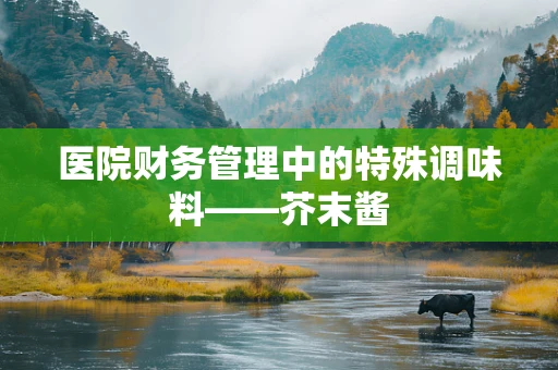 医院财务管理中的特殊调味料——芥末酱