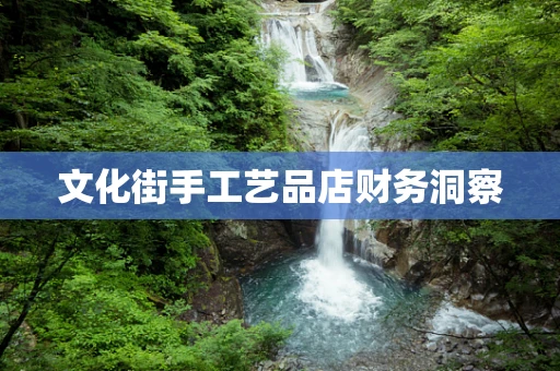 文化街手工艺品店财务洞察