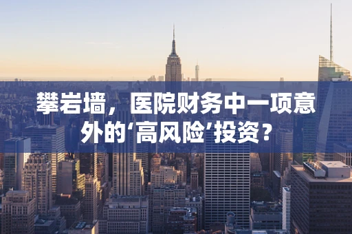 攀岩墙，医院财务中一项意外的‘高风险’投资？