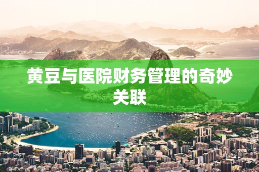 黄豆与医院财务管理的奇妙关联