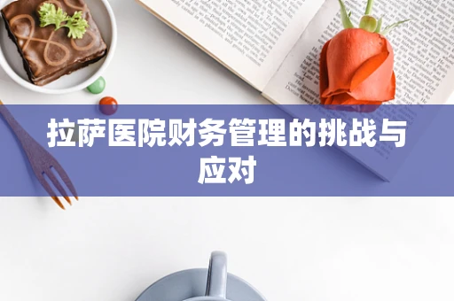 拉萨医院财务管理的挑战与应对
