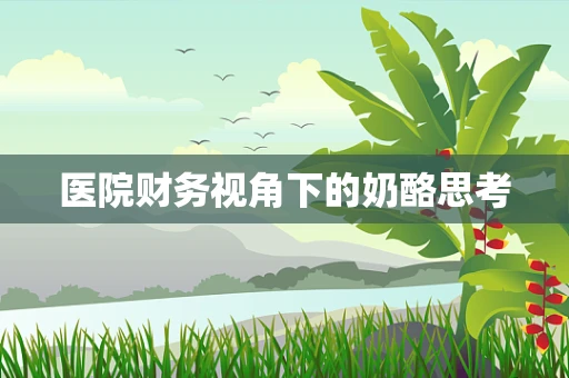 医院财务视角下的奶酪思考