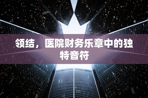 领结，医院财务乐章中的独特音符