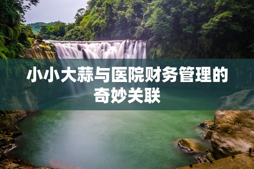 小小大蒜与医院财务管理的奇妙关联