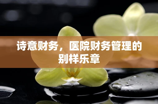 诗意财务，医院财务管理的别样乐章