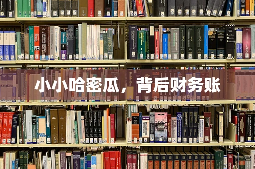 小小哈密瓜，背后财务账