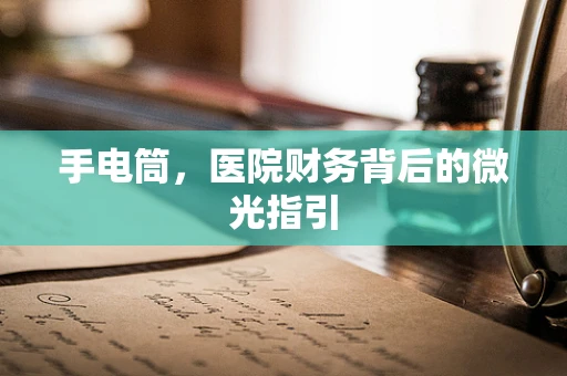 手电筒，医院财务背后的微光指引