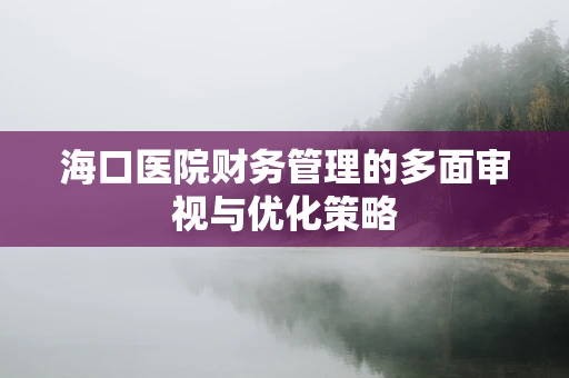 海口医院财务管理的多面审视与优化策略