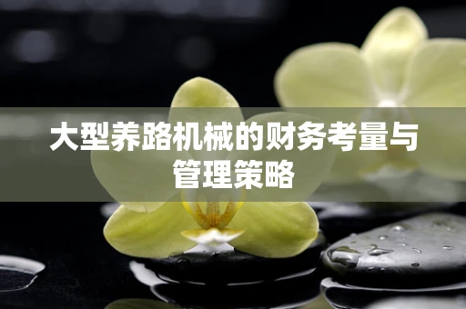 大型养路机械的财务考量与管理策略