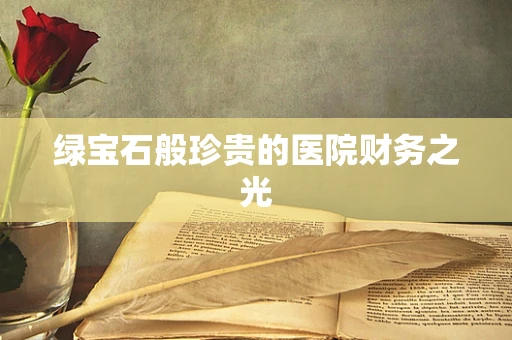 绿宝石般珍贵的医院财务之光