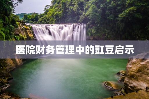 医院财务管理中的豇豆启示