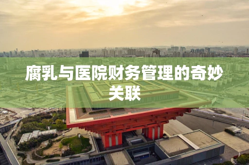 腐乳与医院财务管理的奇妙关联