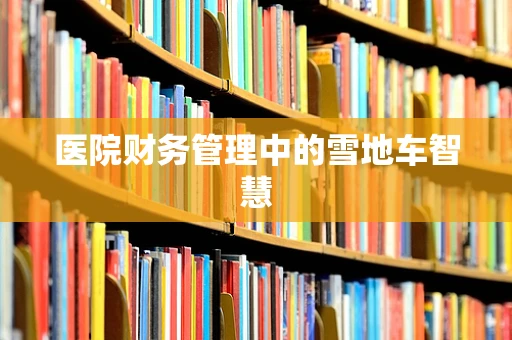 医院财务管理中的雪地车智慧