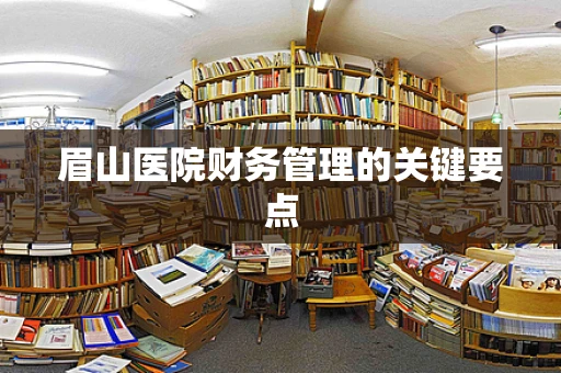 眉山医院财务管理的关键要点