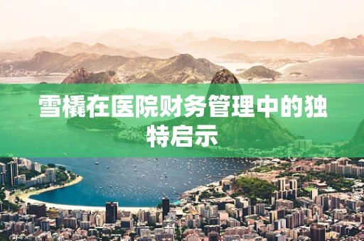 雪橇在医院财务管理中的独特启示