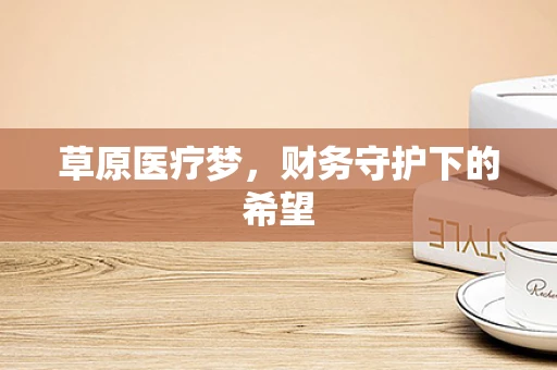 草原医疗梦，财务守护下的希望