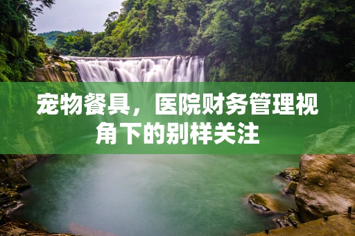 宠物餐具，医院财务管理视角下的别样关注