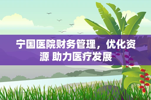 宁国医院财务管理，优化资源 助力医疗发展