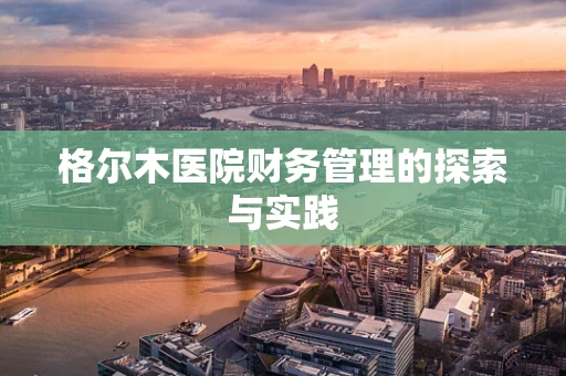 格尔木医院财务管理的探索与实践