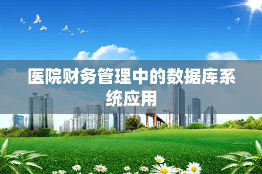 医院财务管理中的数据库系统应用