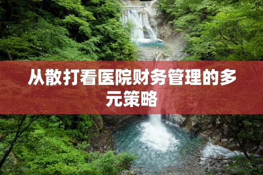 从散打看医院财务管理的多元策略