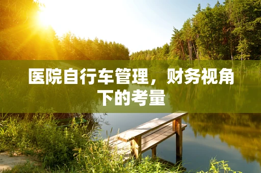 医院自行车管理，财务视角下的考量