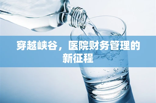穿越峡谷，医院财务管理的新征程