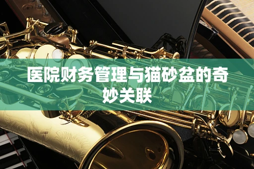 医院财务管理与猫砂盆的奇妙关联