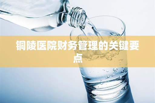 铜陵医院财务管理的关键要点