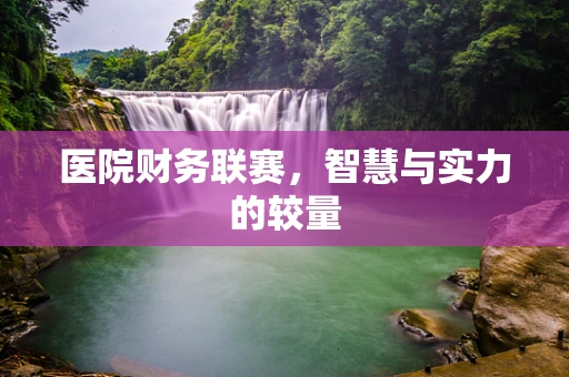 医院财务联赛，智慧与实力的较量