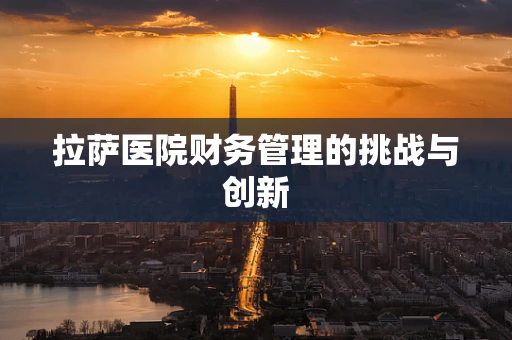拉萨医院财务管理的挑战与创新