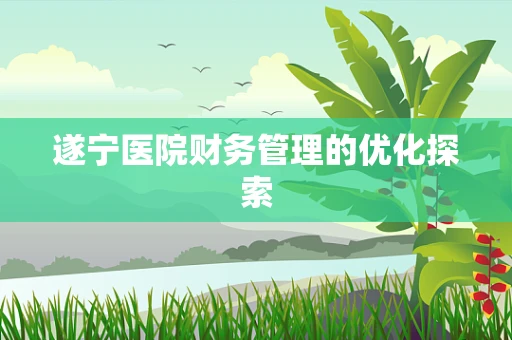 遂宁医院财务管理的优化探索