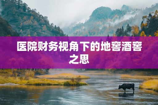 医院财务视角下的地窖酒窖之思