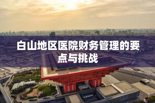白山地区医院财务管理的要点与挑战