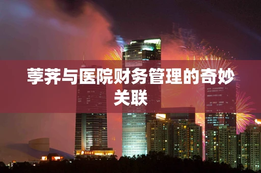 荸荠与医院财务管理的奇妙关联