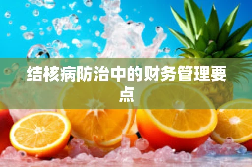 结核病防治中的财务管理要点