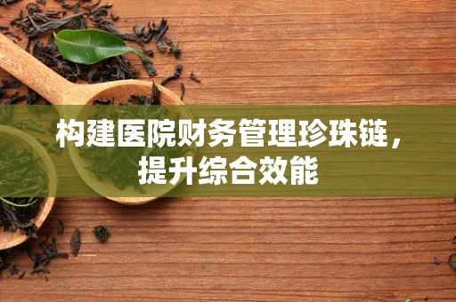 构建医院财务管理珍珠链，提升综合效能