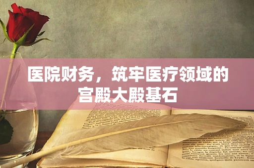 医院财务，筑牢医疗领域的宫殿大殿基石