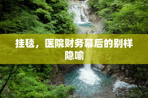 挂毯，医院财务幕后的别样隐喻